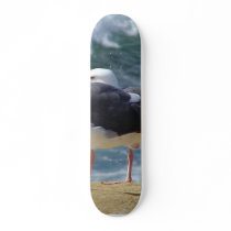Two Seagulls skateboards