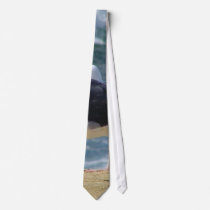 Two Seagulls ties