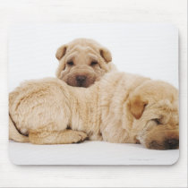 Two Shar Pei puppies sleeping, studio shot Mouse Pad