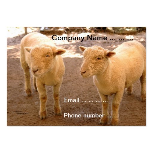 two-sheep-business-cards-zazzle