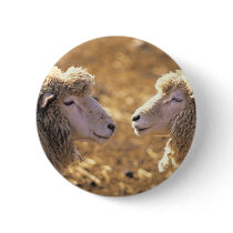 Two Sheep buttons by alternateworlds Two Sheep buttons