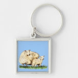 two sheep key chains