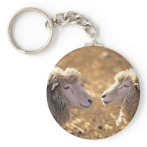 Two Sheep Key Chain