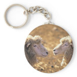 Two Sheep Key Chain