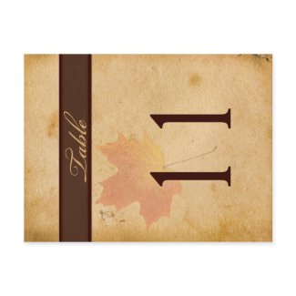 Two Sided Autumn Leaves on Aged Paper Table Number postcard