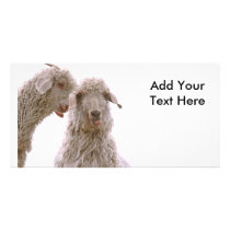 Two Silly Goats Personalized Photo Card