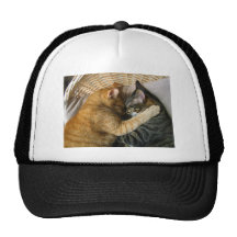 Two Sleeping Tabby Cats Cuddling Trucker Hat