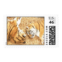 Two sleepy tigers postage