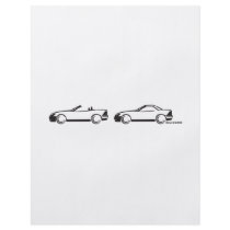 Two SLKs flyers