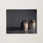 Two small owls puzzles