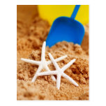 Two Starfish at the Beach Postcard