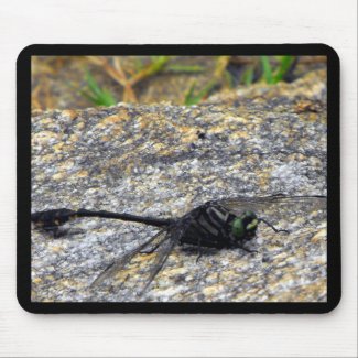 Two Striped Forceptail Dragonfly mousepad