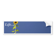 Two Sunflowers Against The Blue Sky bumper stickers
