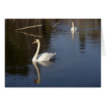 Two Swans cards