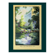 Two Swans in Central Park Lake Postcards
