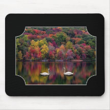 Two Swans Mouse Mat