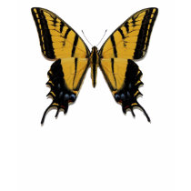 Two-tailed Swallowtail t-shirts