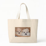 Two Tan Toy Poodle puppies brother and sister Tote Bag