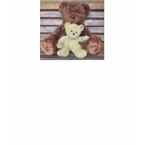 Two Teddies T Shirt
