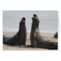 Two Tenors cards