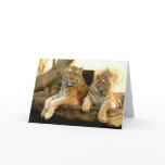 Two Tigers cards