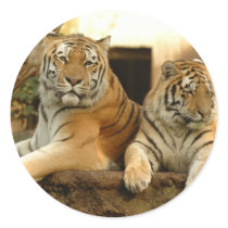 Two Tigers Round Stickers
