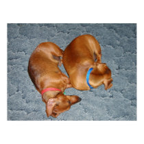 Two Tired posters