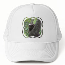 Two Toed Sloth Baseball Hat