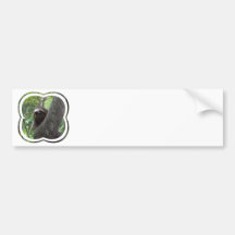 Two Toed Sloth Bumper Sticker