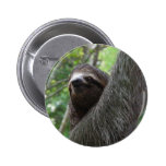 Two Toed Sloth Button