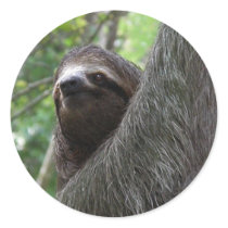 Two Toed Sloth Stickers