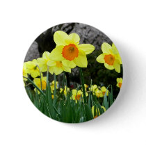 Two Tone Buttons