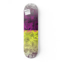 Two Tone by Hannah Stouffer skateboards
