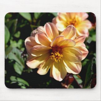 Two Tone Peach Dahlia Flower Mouse Pad