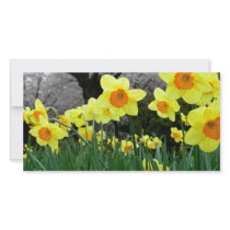 Two Tone Photo Card Template