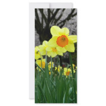 Two Tone Personalized Rack Card