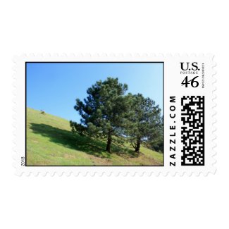 Two Tree Hill Stamp stamp