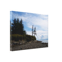 Two Tree Point Stretched Canvas Print