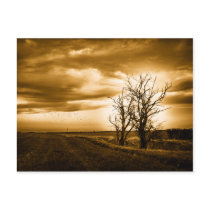 Two Trees Sepia Fields Art postcard postcards