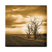 Two Trees Sepia Fields Fridge magnet magnets