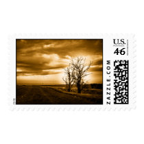 Two Trees Sepia Fields Postage Stamps