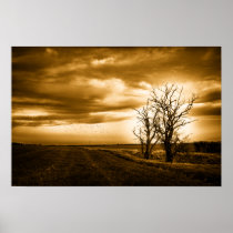 Two Trees Sepia Fields Poster Print posters