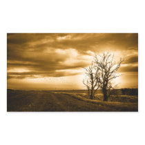 Two Trees Sepia Fields Stickers