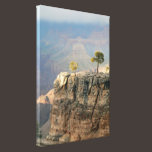 Two Trees Stretched Canvas Print canvas prints