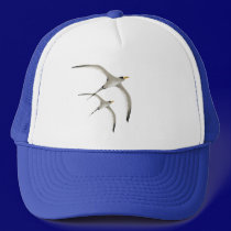 Two Tropic Birds Hat by Lotacats Two Tropic Birds Hat