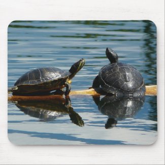 Two Turtles at the Turtle Bar mousepad