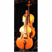 Two Violas by Leslie Harlow photo sculptures
