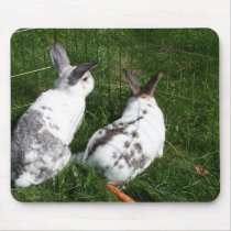 Two Waiting Bunnies Mousepad mousepads
