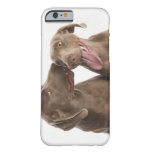 Two Weimaraners Barely There iPhone 6 Case