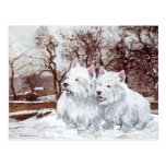 Two Westies in Wintertime postcards
